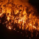 incendio-monte-hacho-9