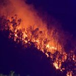 incendio-monte-hacho-zona-oasis-2