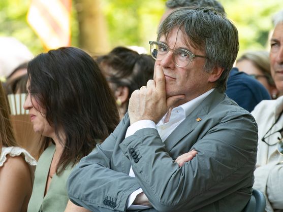Puigdemont, qué vergüenza. Puigdemont, vergüenza nacional