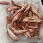 pescado-aduana-005