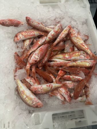 pescado-aduana-005