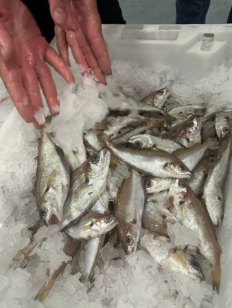 pescado-aduana-007