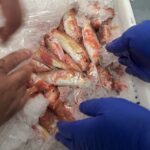 pescado-aduana-009