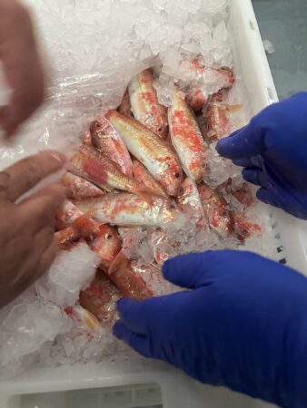 pescado-aduana-009