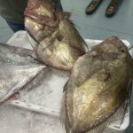 pescado-aduana-011