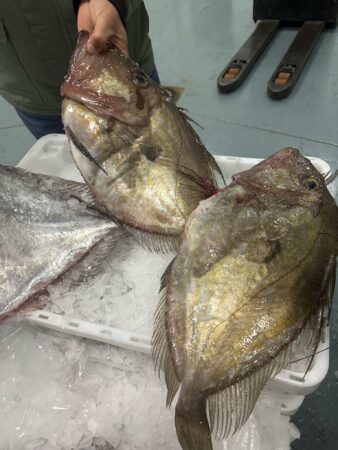 pescado-aduana-011