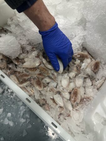 pescado-aduana-013
