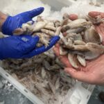 pescado-aduana-014