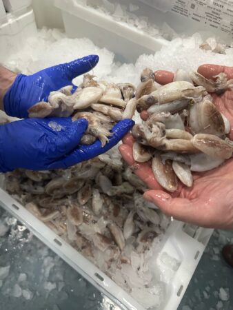 pescado-aduana-014