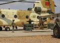 african-lion-2025-12