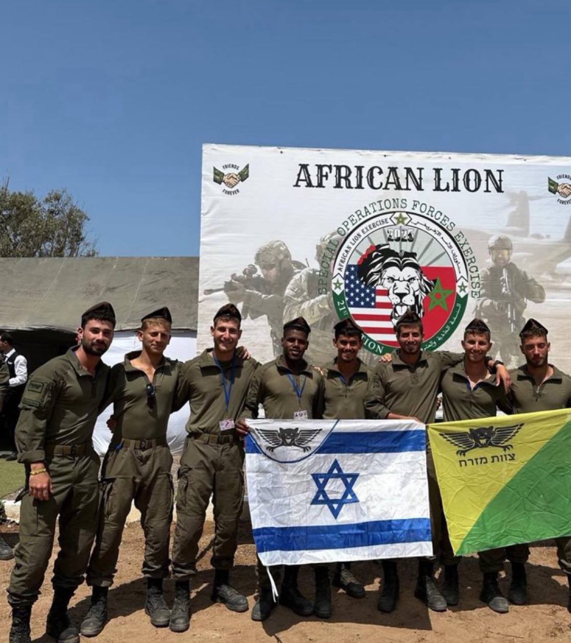 african-lion-2025-4
