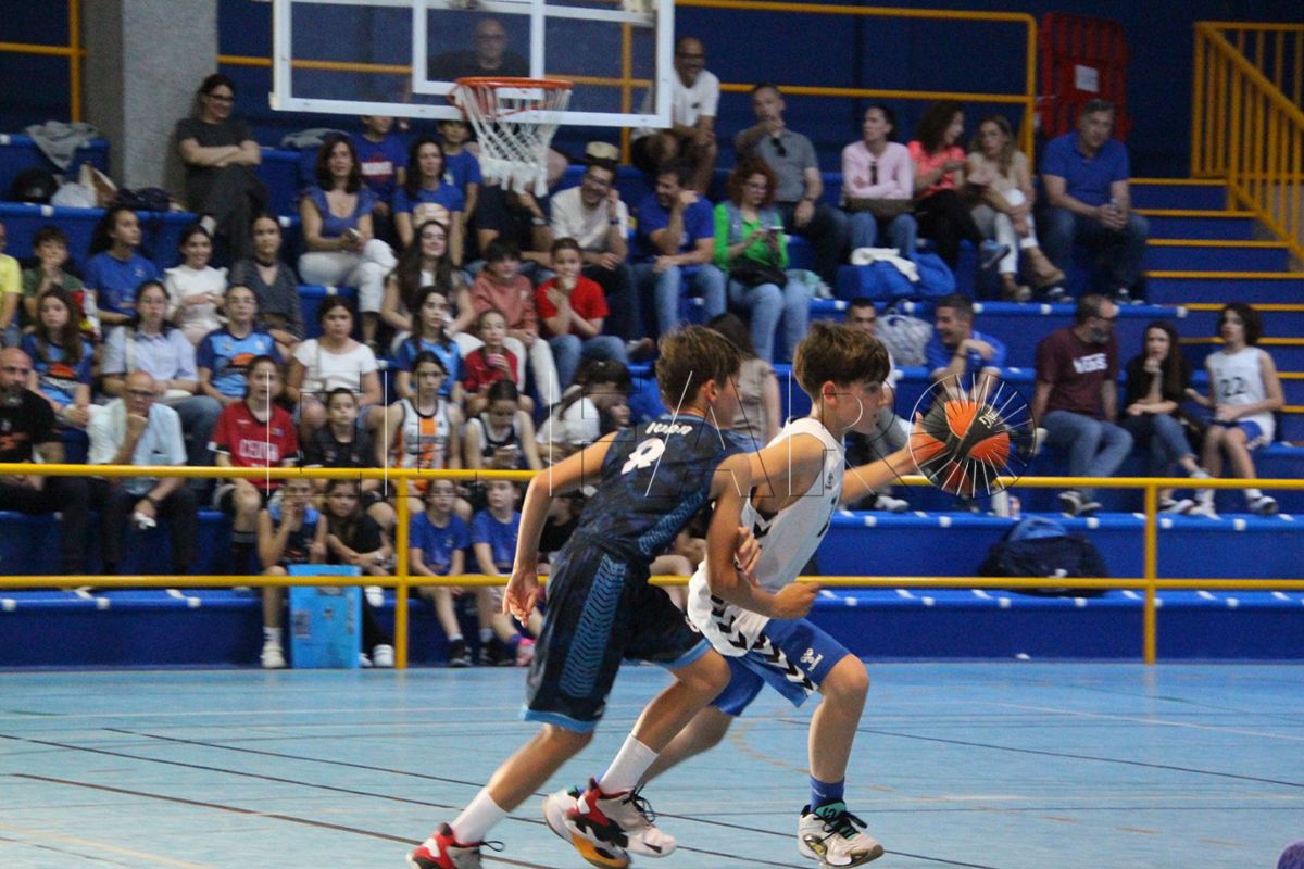 campoamor-vibra-baloncesto-ceuti-018