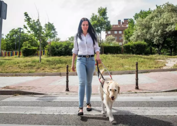perros-asistencia-2