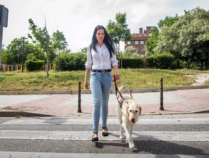 perros-asistencia-2