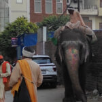 amritsar-jaipur-002