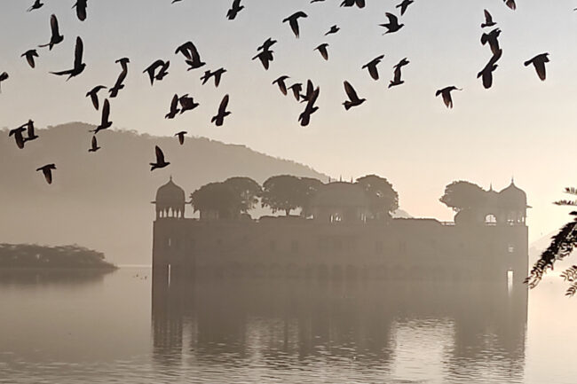 Amritsar y Jaipur