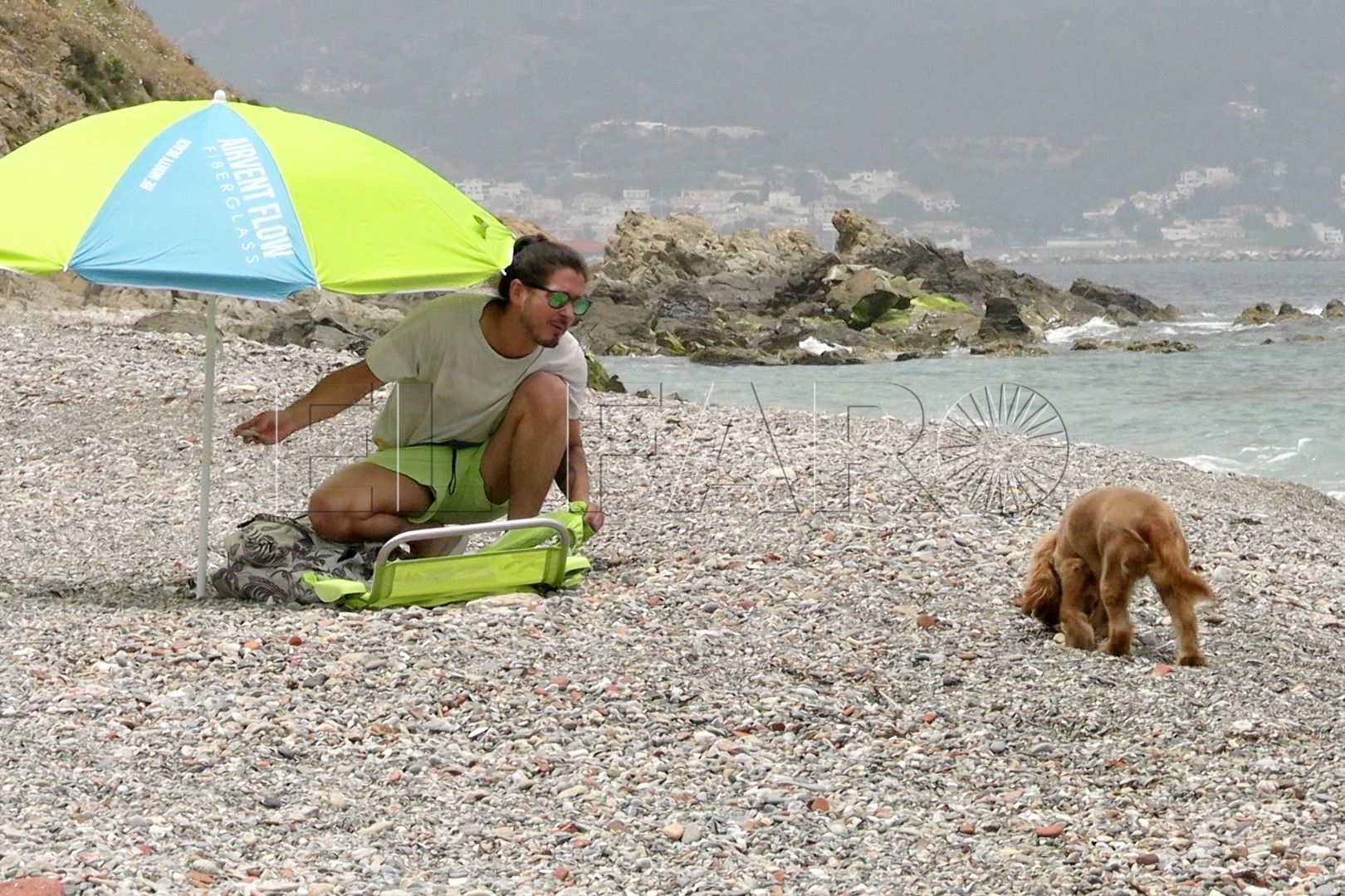 consejos-disfrutar-dia-playa-perro-16