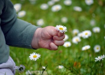 niño-flores