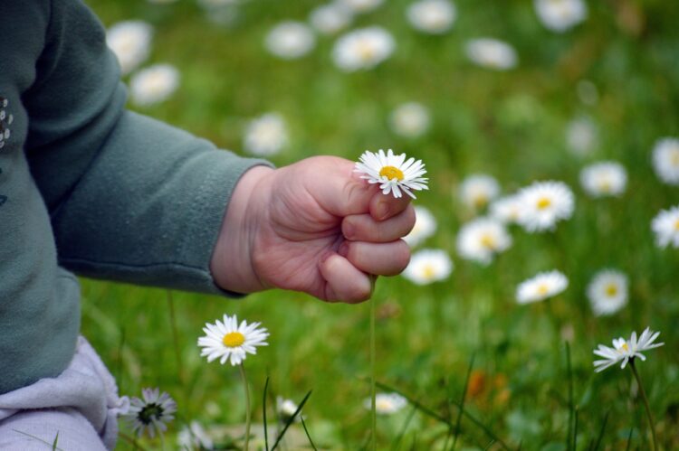niño-flores