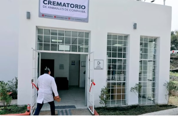 opinion-crematorio-mascotas-ceuta