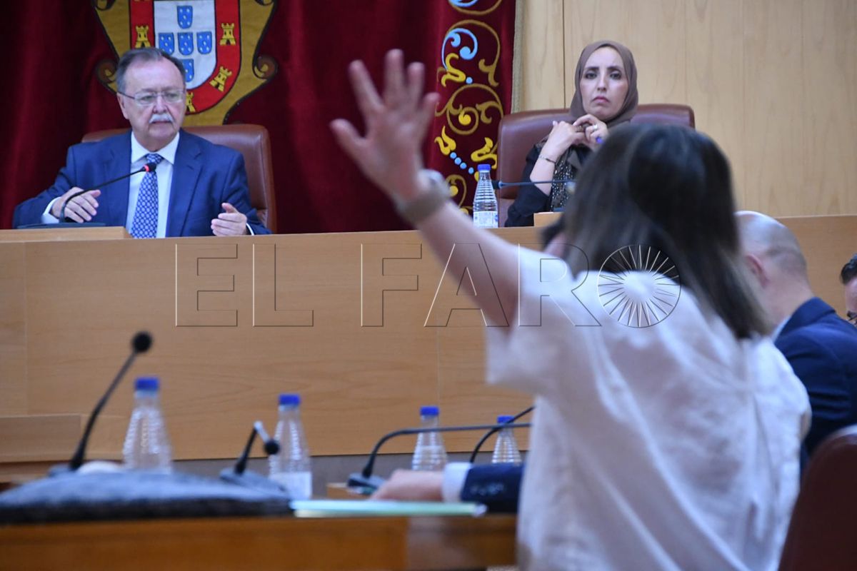 pleno-relosutivo-junio-003