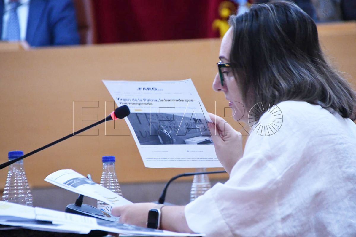 pleno-relosutivo-junio-004