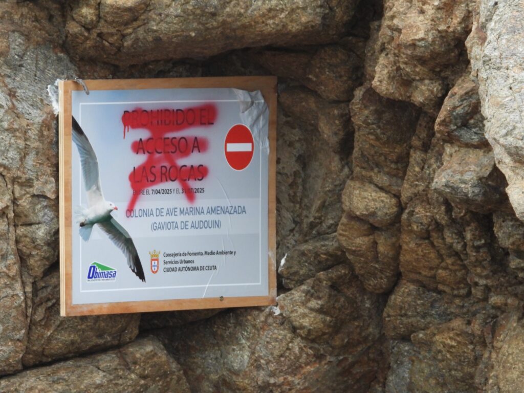 preocupacion-abandono-acantilados-monte-hacho-16