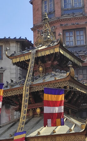 colegio-nepal-009