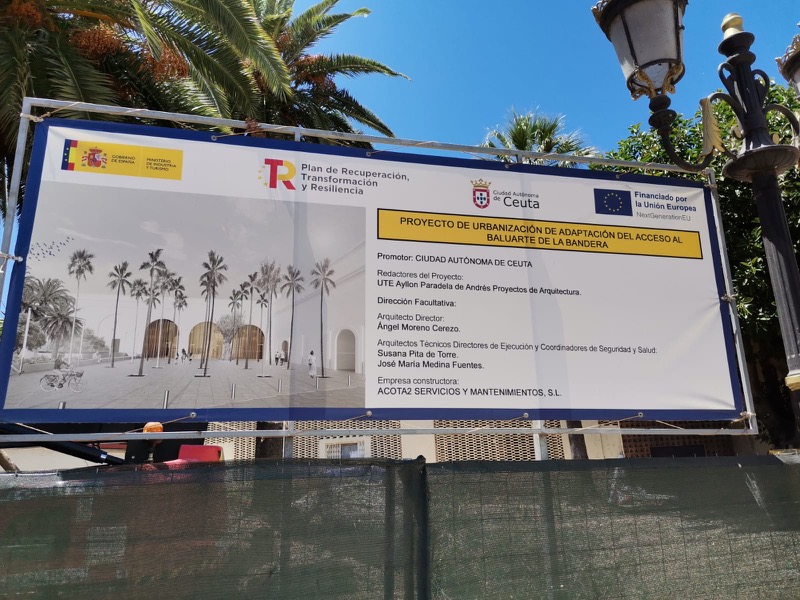 mas-palmeras-menos-arboles-sinsentido