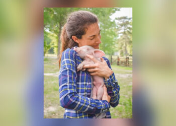 opinion-vegano