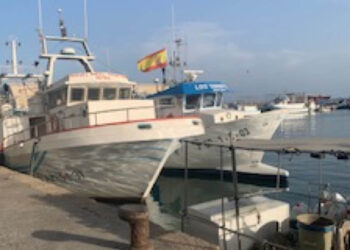 la-lonja