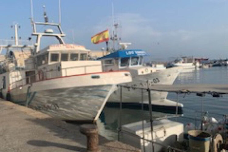 la-lonja