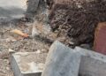 salubridad-seguridad-exigen-vecinos-sardinero