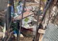 salubridad-seguridad-exigen-vecinos-sardinero