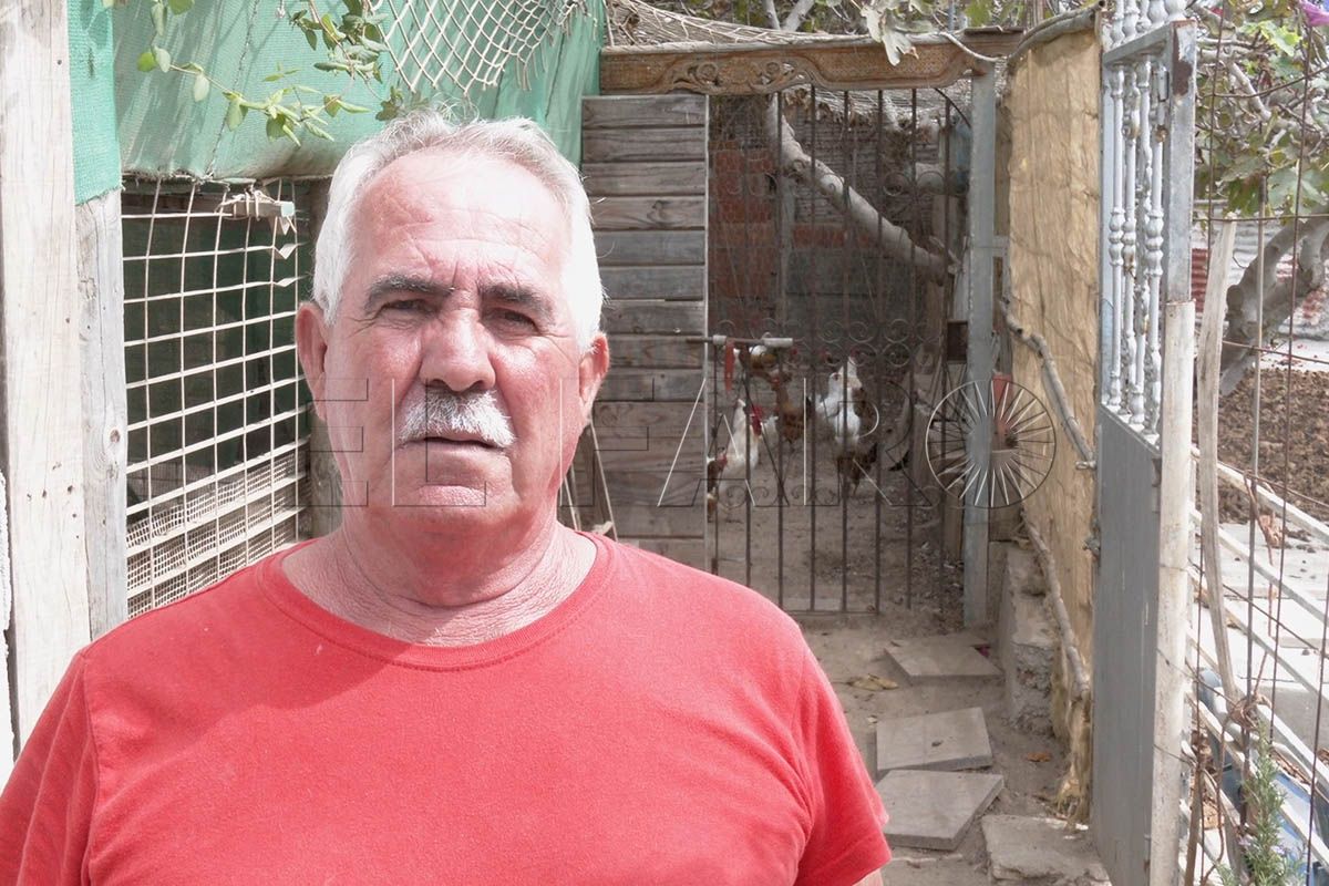 manolo-lucha-26-gallinas-quieren-sacrificar