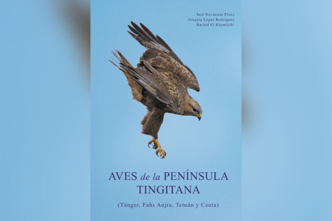 El Faro - Las ‘Aves de la Península Tingitana’ aterrizan en un evento en Marruecos