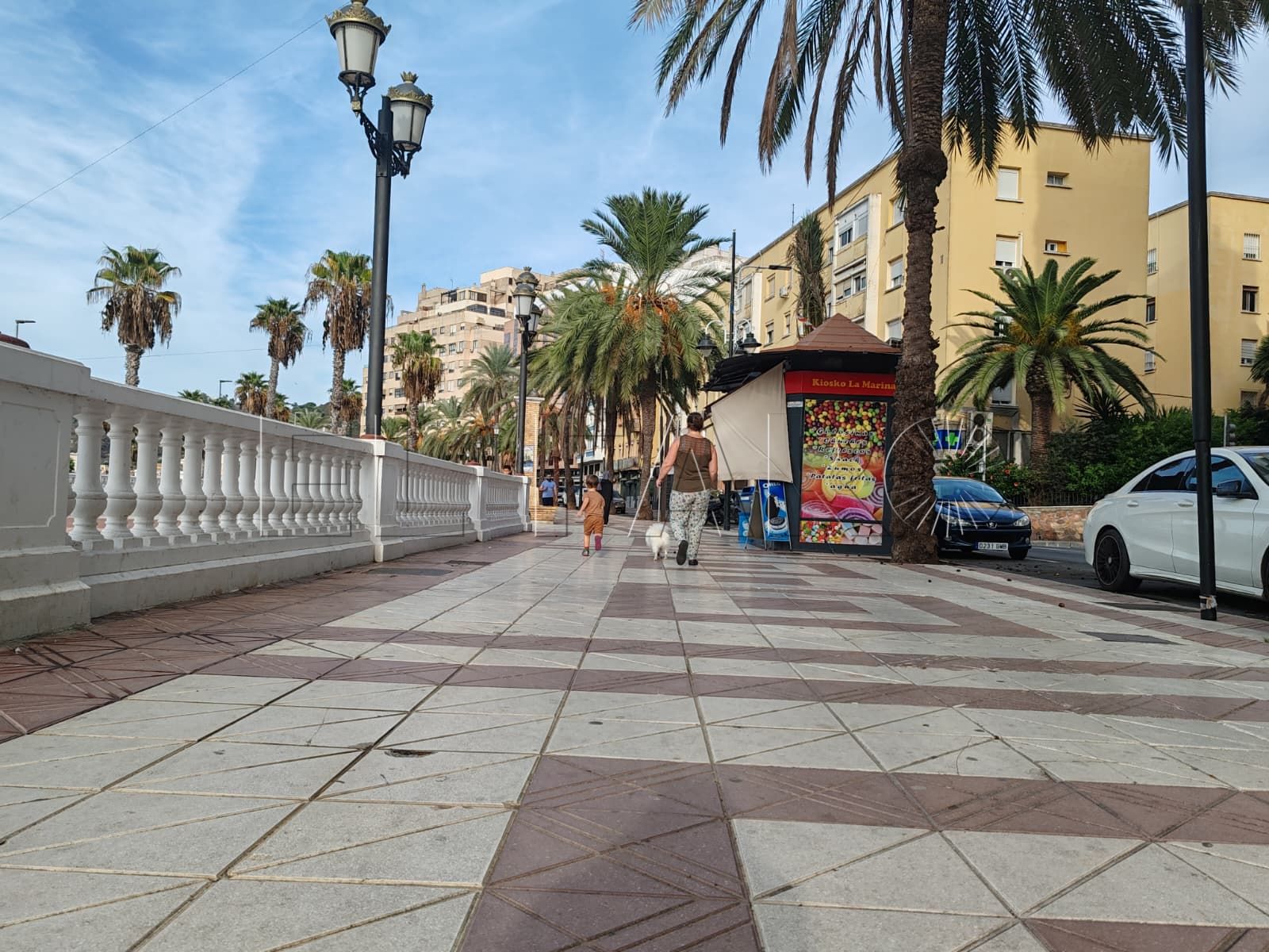ciudad-renovara-paseo-marina-13