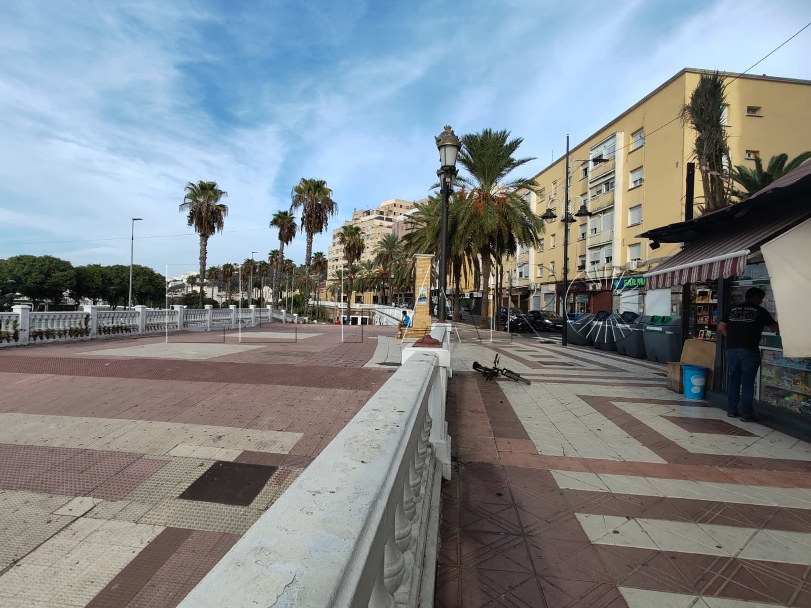 ciudad-renovara-paseo-marina-19