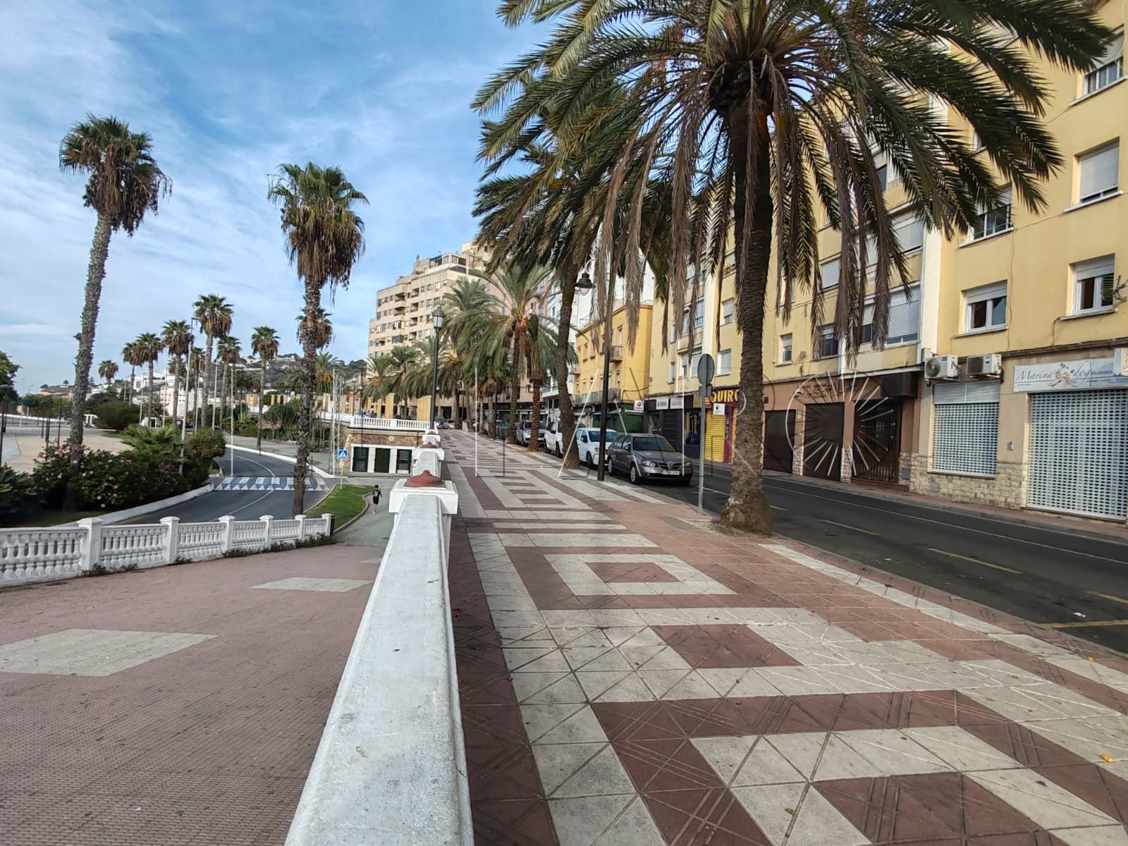 ciudad-renovara-paseo-marina-24