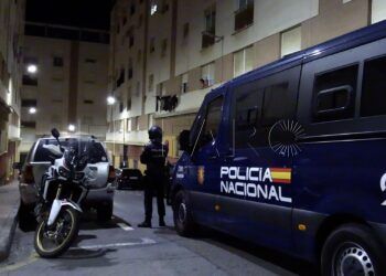 golpe-udyco-meses-investigacion-kilos-hachis
