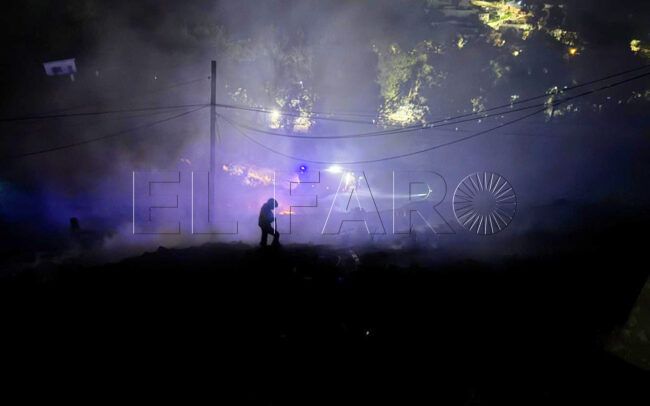 El Faro - El PSOE exige un plan urgente ante el riesgo de alergias e incendios este verano