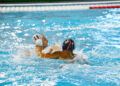 caballa-mataro-waterpolo