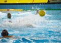 caballa-mataro-waterpolo
