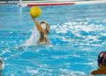 caballa-mataro-waterpolo