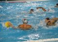 caballa-mataro-waterpolo
