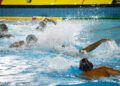 caballa-mataro-waterpolo