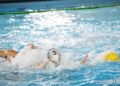 caballa-mataro-waterpolo