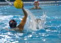 caballa-mataro-waterpolo