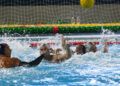 caballa-mataro-waterpolo
