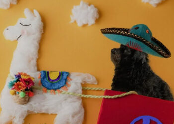 despedida-coco-001